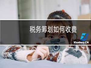 税务筹划如何收费