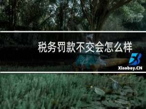 税务罚款不交会怎么样