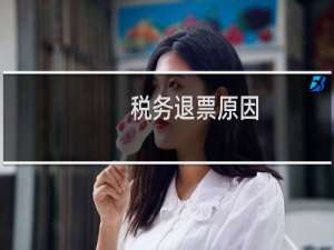 税务退票原因