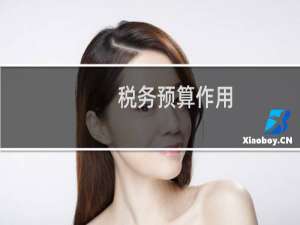税务预算作用