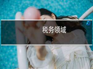 税务领域