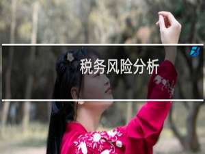 税务风险分析