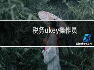 税务ukey操作员