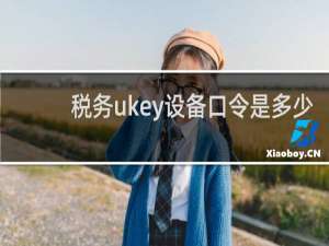 税务ukey设备口令是多少