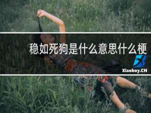 稳如死狗是什么意思什么梗