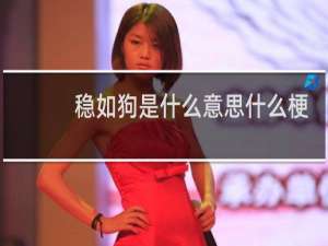 稳如狗是什么意思什么梗