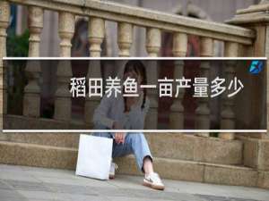 稻田养鱼一亩产量多少