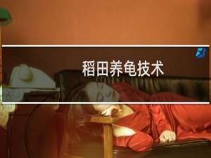 稻田养龟技术