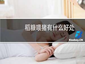 稻糠喂猪有什么好处