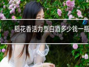 稻花香活力型白酒多少钱一瓶