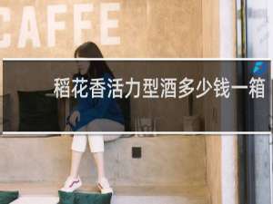稻花香活力型酒多少钱一箱