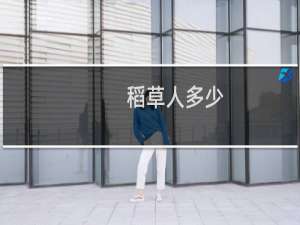 稻草人多少