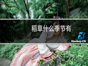 稻草什么季节有