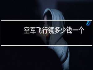 空军飞行镜多少钱一个