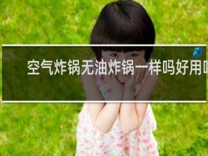 空气炸锅无油炸锅一样吗好用吗