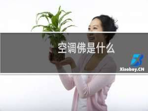空调佛是什么