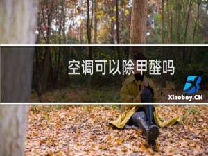 空调可以除甲醛吗