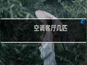 空调客厅几匹