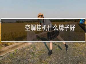 空调挂机什么牌子好