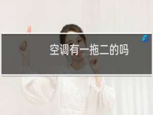 空调有一拖二的吗