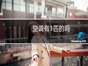 空调有1匹的吗