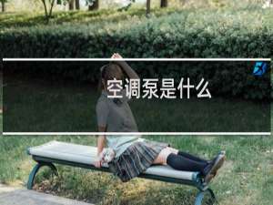 空调泵是什么