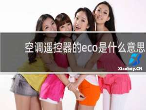 空调遥控器的eco是什么意思