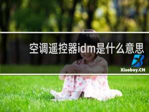 空调遥控器idm是什么意思