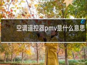 空调遥控器pmv是什么意思
