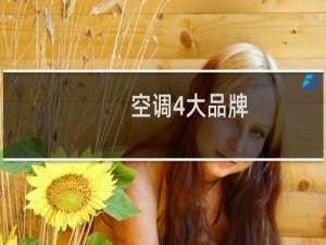 空调4大品牌