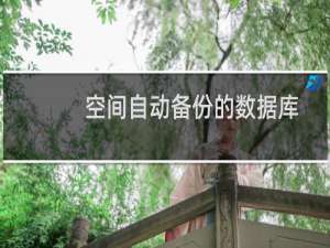 空间自动备份的数据库如何下载