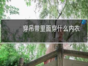 穿吊带里面穿什么内衣比较好平价（穿吊带里面穿什么内衣）