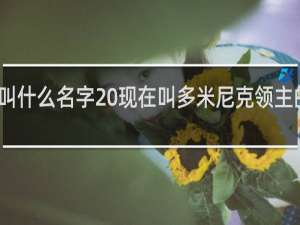 穿甲弓叫什么名字 现在叫多米尼克领主的致意什么梗