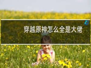 穿越原神怎么全是大佬