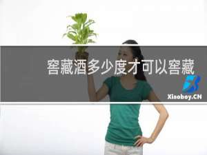 窖藏酒多少度才可以窖藏