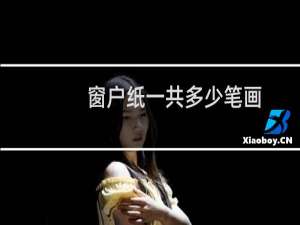 窗户纸一共多少笔画