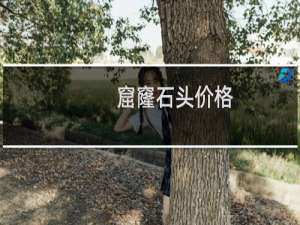 窟窿石头价格