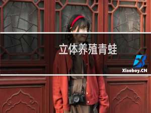 立体养殖青蛙