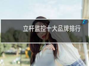 立杆监控十大品牌排行榜