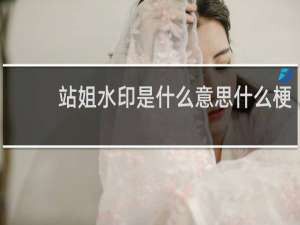 站姐水印是什么意思什么梗