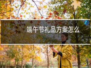 端午节礼品方案怎么