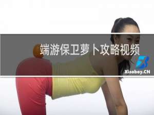端游保卫萝卜攻略视频