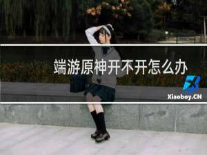 端游原神开不开怎么办