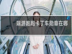 端游跑跑卡丁车勋章在哪