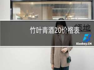 竹叶青酒 价格表