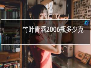 竹叶青酒2006瓶多少克