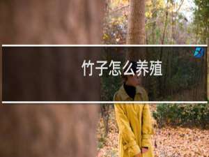 竹子怎么养殖