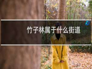 竹子林属于什么街道（竹子林）