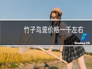 竹子鸟笼价格一千左右