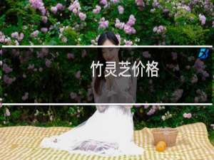 竹灵芝价格